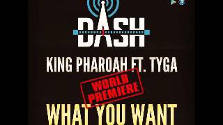 Tyga - What U Want (Feat King Pharaoh Jackson) (Prod. by Jereme Jay) [2o14] -YâYô-