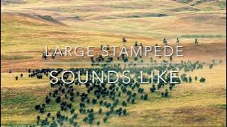 LARGE STAMPEDE SOUNDS