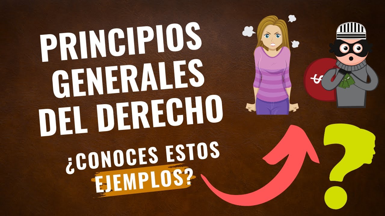 Principios Generales Del Derecho ¿conoces Estos Ejemplos Youtube