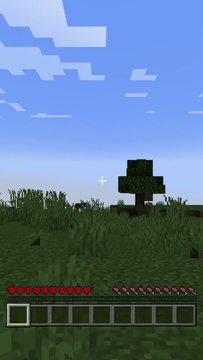 mc java #shorts - YouTube