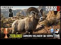 Red Dead Redemption 2: Carneiro Selvagem da Serra + Compêndio 100% | Troféu Zoólogo
