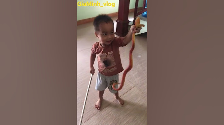 Chuyên Gia Bắt Rắn Tí Hon P3 - Cái Kết Thật Bất Ngờ - GiaMinh_vlog