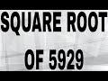 SQUARE ROOT OF 5929 SQUARE ROOT OF 5929