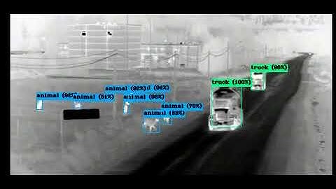 Animal detection and vehicles profiling on thermal cameras
