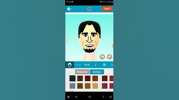 Wii Party New CPU Mii Nori (Fan CPU Miis)