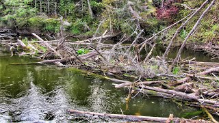 FISHING ON THE MOST TERRIBLE RIVER IN SIBERIA! ALLOY WHERE PEOPLE DIE!