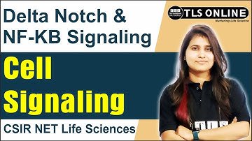 Delta Notch & NF-KB Signaling | Cell Signaling | CSIR NET Life Sciences| Unit-4 |