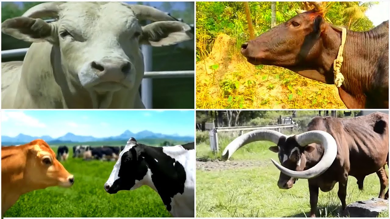 Epic 🧙‍♂️ battle ⚔️! 