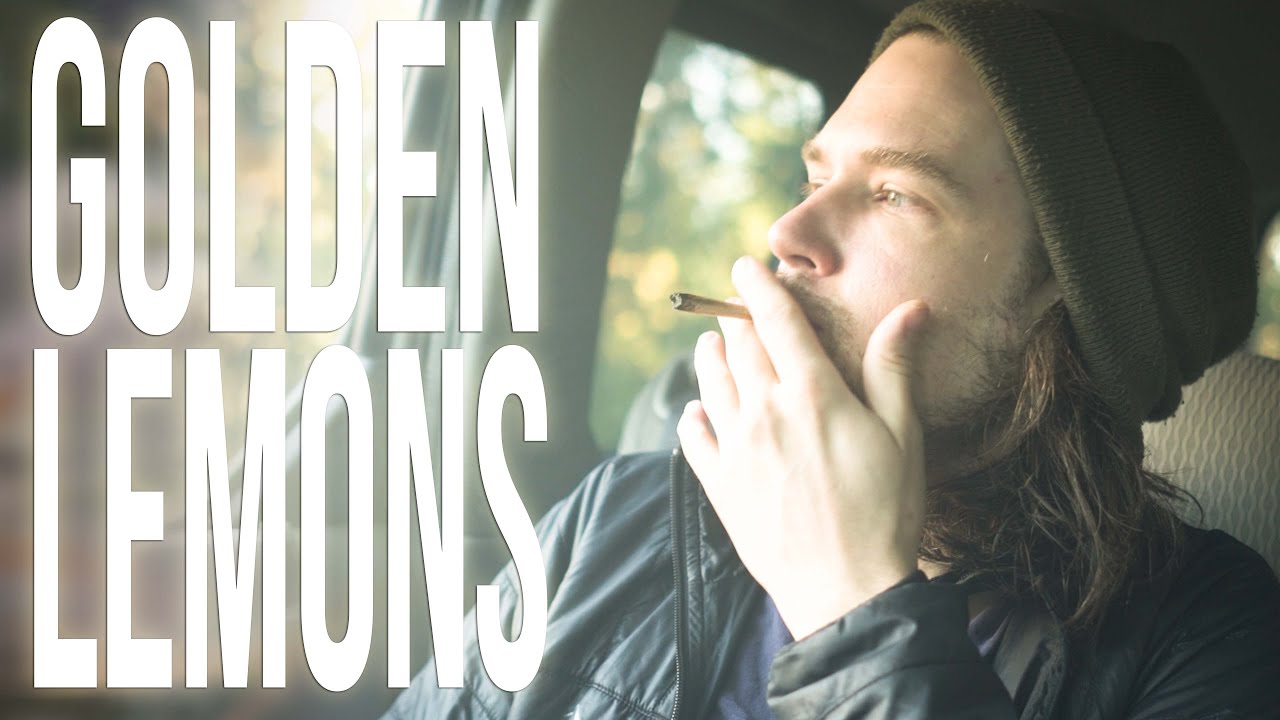 Golden Lemons by Svin Hotbox & Preroll Review