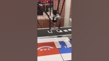 High-speed picking, packing, stacking Delta Robot | Two picks two places per cycle #robotic