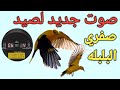 صوت جديد لصيد صفري البلبله2024
