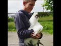 Доброе утро,человеки