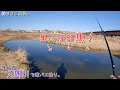 数万匹の魚群にエサを投入ー! 初めて見る光景でした! 埼玉県 狭山市 入間川で寒バエ釣り。