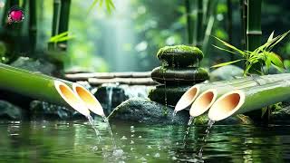 Relaxing Music  Sound of Bamboo Water Helps to Stabilize The Mind, Restore Health