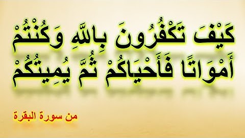 كيف تكفرون بالله وكنتم أمواتا فأحياكم ثم يميتكم ثم يحييكم _ من سورة البقرة