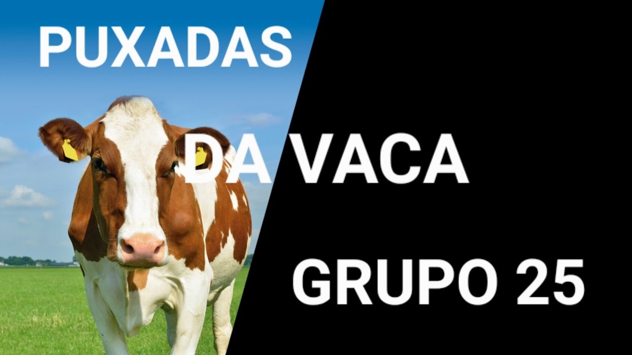 PUXADAS DA VACA 🐄 GRUPO 25 PUXADAS DO JOGO DO BICHO 🍀 🌿 🌳 🍁 SE INSCREVE ...