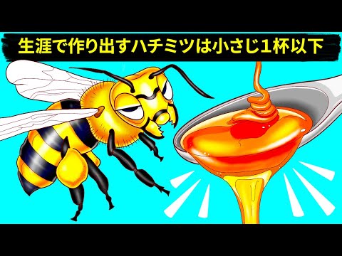 ミツバチがハチミツを作る理由と方法（＋その他のハチにまつわる豆知識）