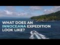 What Does an Innoceana Expedition Look Like?