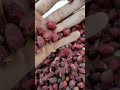 میوه نسترن بمب ویتامین سی و راز جوانی پوست میوه نسترن دمنوش پوست زیبا Rosehip Herbal Herbaltea 
