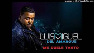 Luis Miguel Del Amargue - Me Duele Tanto