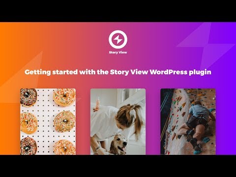 How to use Story View WordPress plugin