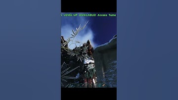 How To Cheese Island