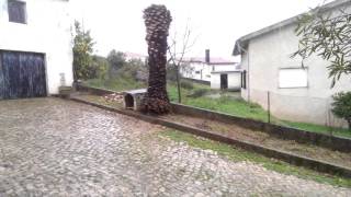 Neve em Coimbra 2016-02-27