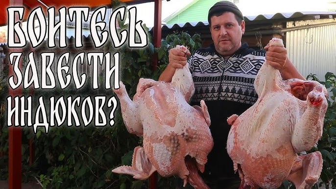 1. Подготовка инструментов и рабочего пространства