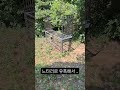 어디 ....? 잡은겨!!! ㅡ 놓쳤어???