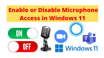 How to Enable or Disable Microphone Access in Windows 11.