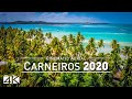 【4K】Praia dos Carneiros from Above - Caribbean of BRAZIL 2020 | Cinematic Wolf Aerial™ Drone Film