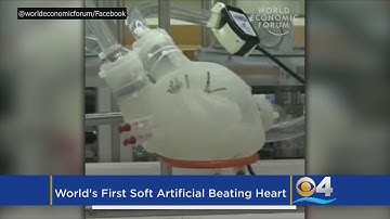 This Is What The First Soft Artificial Heart Looks Like
