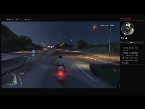 gta director mode number