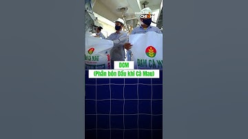 VIX, VPBankS, GEE bùng nổ lợi nhuận quý 3/2025 – Thị trường sắp bước vào chu kỳ mới?