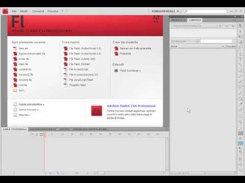 Corso ActionScript 3.0: concetti di base - Flash C...