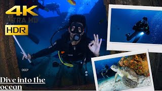 4k video ultra hd,Coral reefs.relaxing music and satifying video.8k video ultra hd