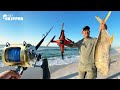 Beach fishing w massive fishing gear  fish almost pulls my friend in