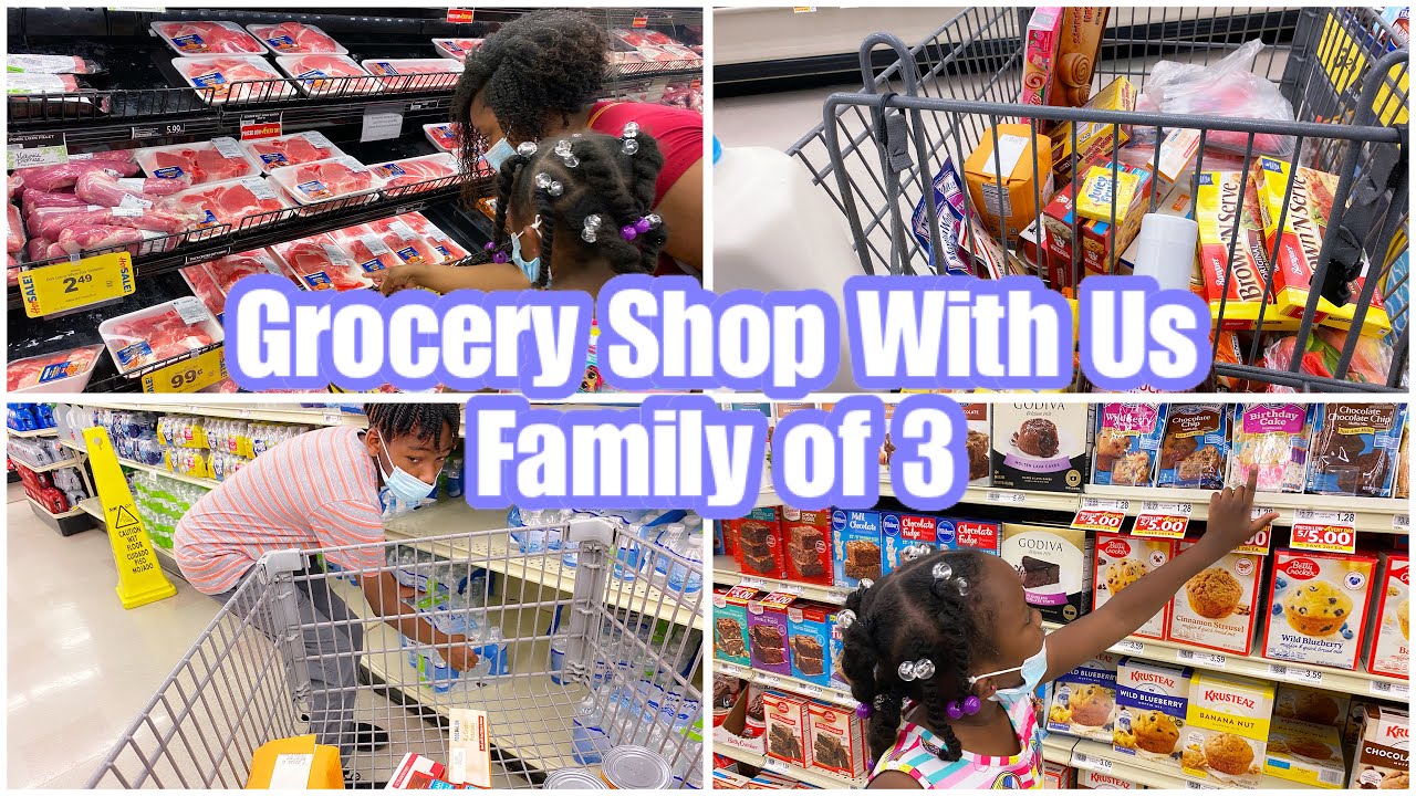 GROCERY SHOP WITH ME + Grocery Haul Food Lion Everything Under 83
