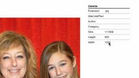 Sitefinity Support - Optimizing your images