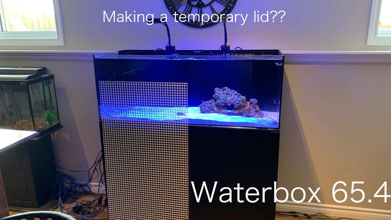 Custom Water Box Making a custom temporary lid for the new waterbox 65.4 aio - YouTube