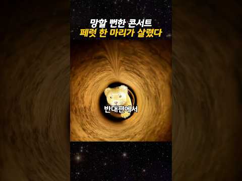 망할 뻔한 콘서트 페럿 한 마리가 살렸다 thumbnail