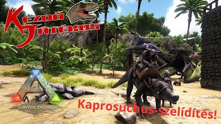 Ark: The Island - Kaprosuchus-szelídítés!