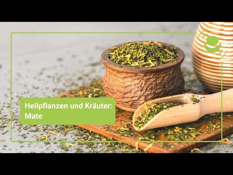 Mate – Alles, was du über seine Wirkung wissen solltest.