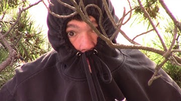 Welcome to the Dungeon - (Trailer)