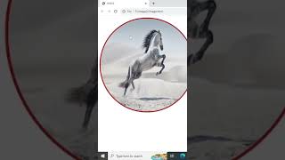 Transition delay tag CSS | #css #html #transition #delay #slowmotion #slowed #htmlcss #web  #css