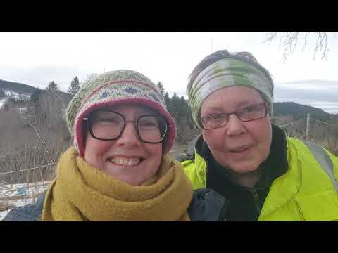 Video: Beskjæring Av Bærbusker: Funksjoner Og Timing