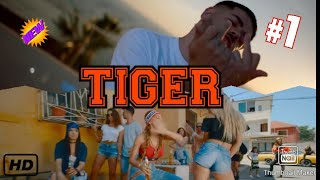 [FREE] Tayna x Noizy Type Beat  ///TIGER/// Dancehall Type Beat 2020