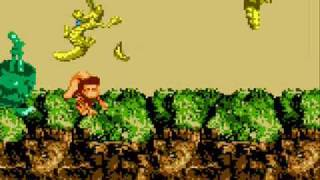 Donkey Kong Land 3 - Clifftop Critters in 0:52:97!