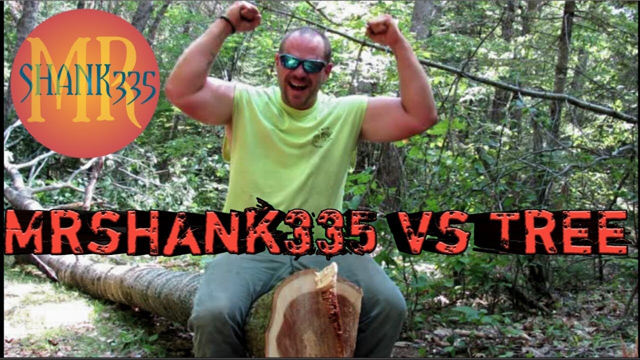 How to: Felling a tree using a ( jonsered cs 2253 ) - YouTube