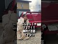 彼氏に乗って欲しくない車　#shorts